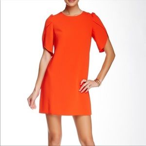 Cynthia Steffe Tulip Sleeve Shift Dress - 10